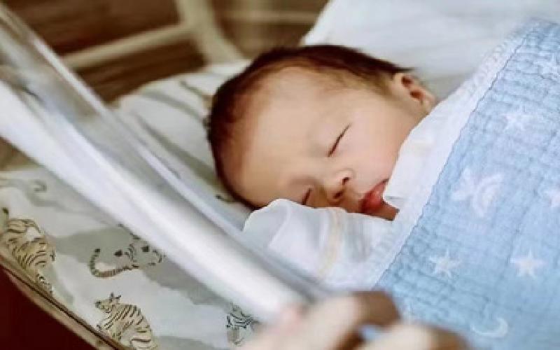 蚁巢试管架代生